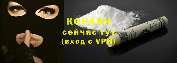 стафф Каменка