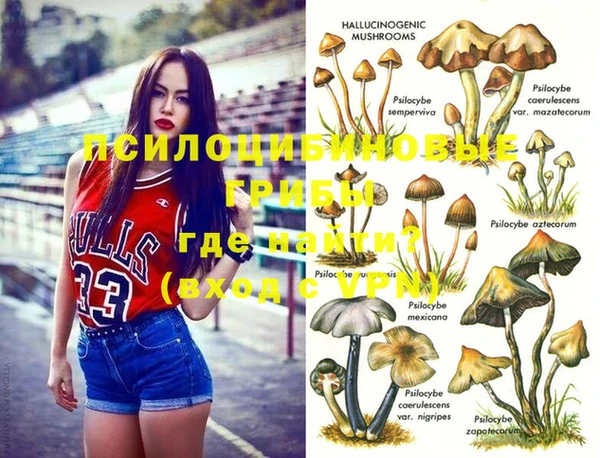 ECSTASY Ладушкин